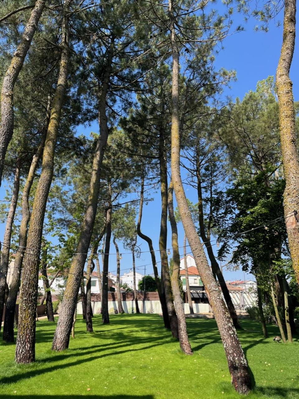 Hotel Casa Jardin El Colmenar Las Navas del Marqués Esterno foto